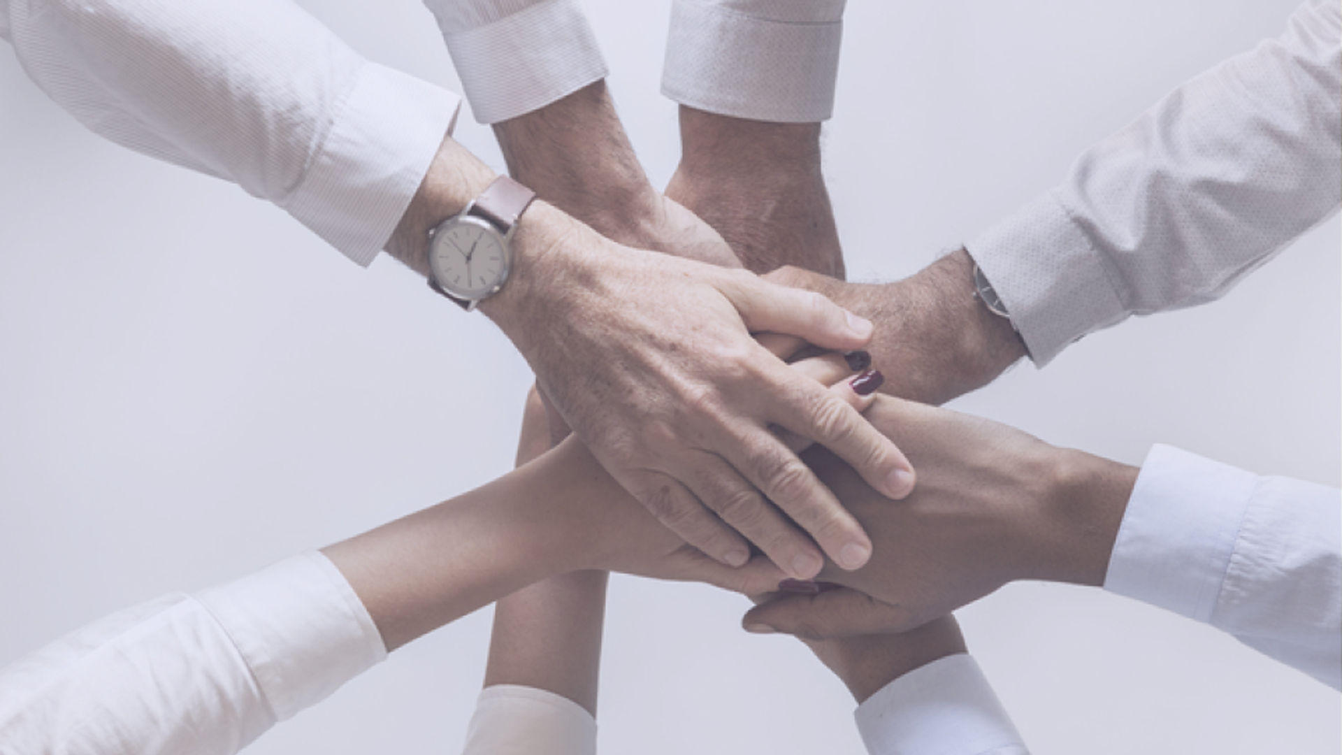 Cooperation Models in IT: Which One Should You Choose?