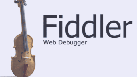 Fiddle with'' web traffic like a pro | Geniusee